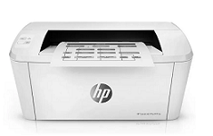Toner HP LaserJet Pro serie M14-M17